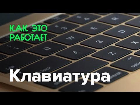 Как работает клавиатура