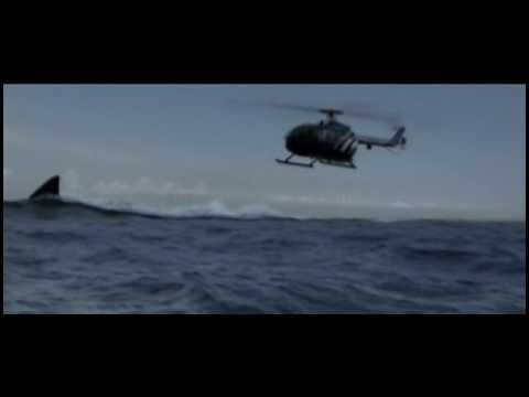 GIANT SHARK ATTACKS DIVER!