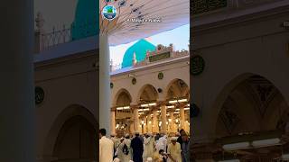 Al Masjid-e-Nabwi #madinakareebse #islamicvideo #youtubeshorts #madina #masjid #saudiarabia #viral
