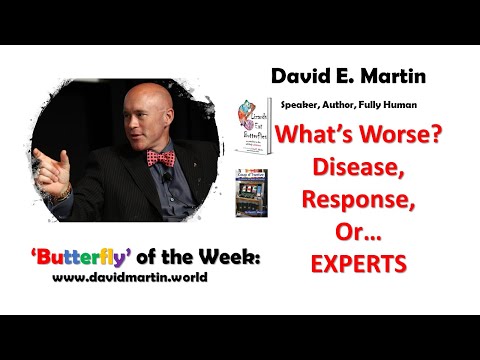 David Martin World