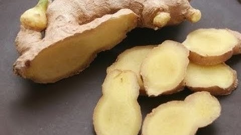 Running Video Of Ginger Slicer