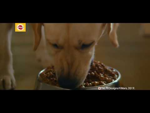 Pedigree Gravy:  Share Your Love Not Your Food