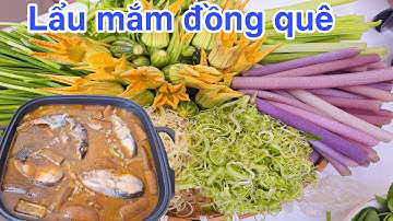 Lẩu mắm cá lóc hương vị  miền tây ngon tuyệt vời .