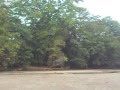 Eda Kumbuka camp site in Kumana National Park, Sri Lanka - ඇද කුඹුක කඳවුරු බිම, කුමන