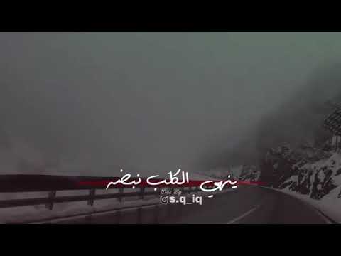 باسم الكربلائي يمكن بعد لحظه 