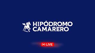 Hipodromo Camarero Live Stream (10 JUNIO 2026)