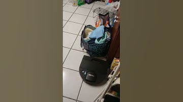 NEATO D9 is a treasure! please buy one now! @NeatoRobotics