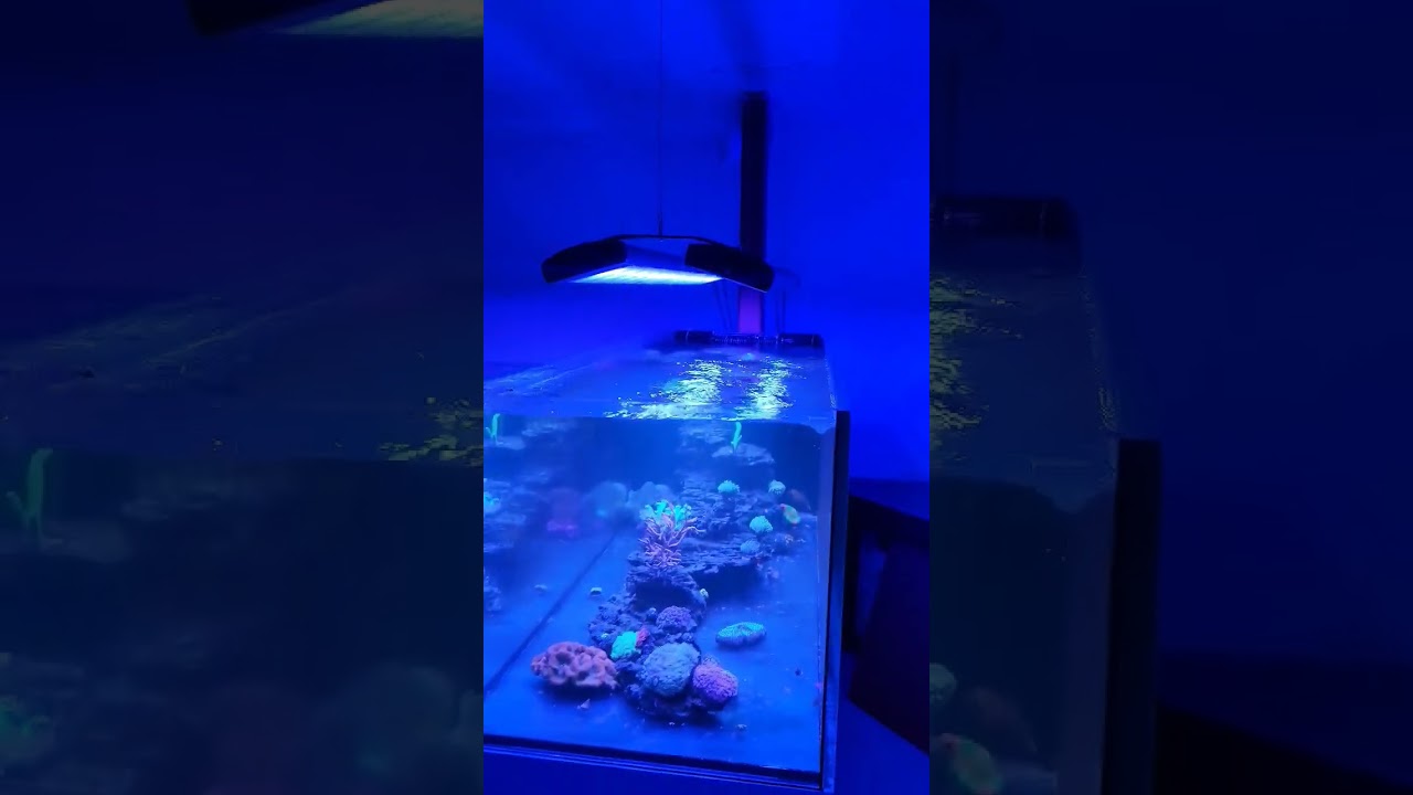 Mounting 2 Illumagic 