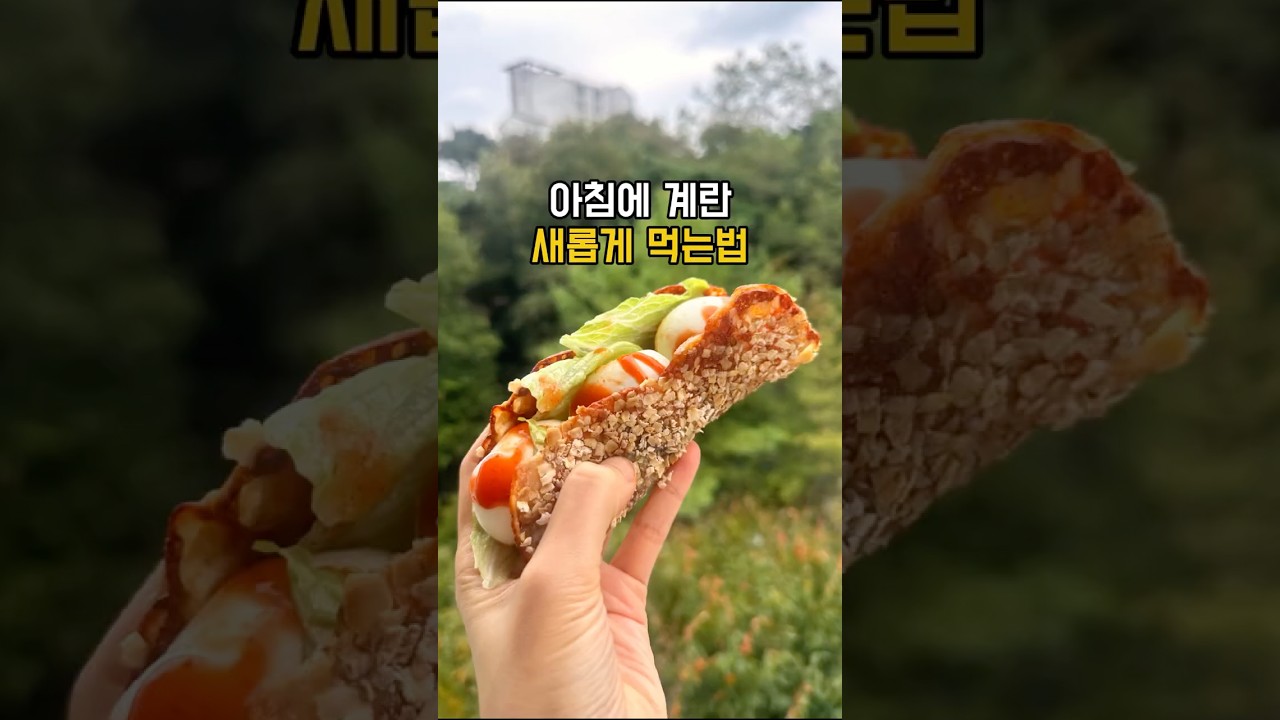 아침에 계란 새롭게 먹는 법