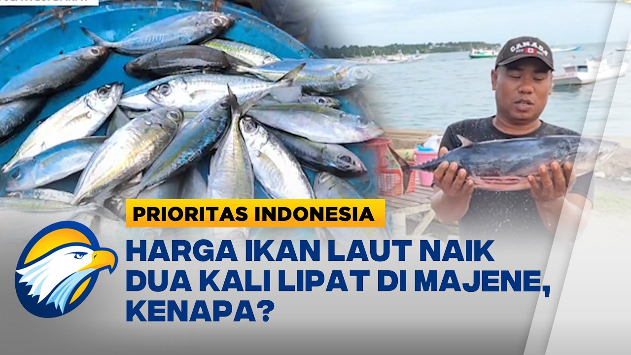 Harga Ikan Laut Naik Dua Kali Lipat di Majene, Pedagang Mengeluh - [Prioritas Indonesia]