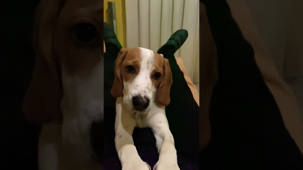 15 января 2024 г.