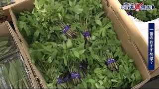シドケなど旬の山菜が本格入荷 香りや風味を楽しんで＜岩手県＞ (23/04