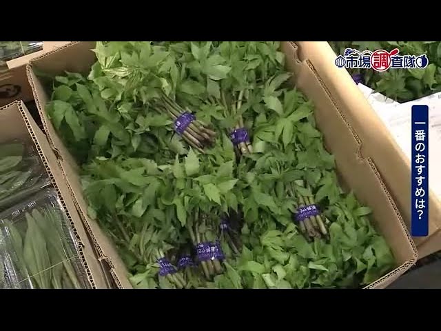 シドケなど旬の山菜が本格入荷 香りや風味を楽しんで＜岩手県＞ (23/04