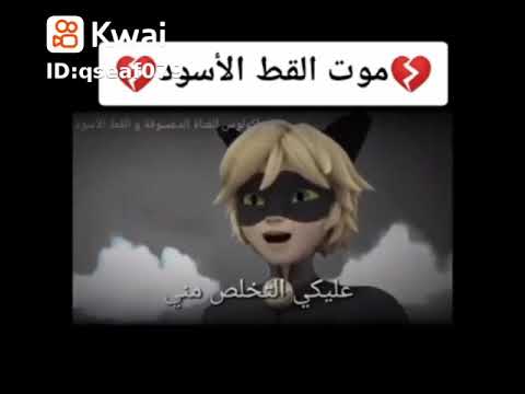 موت قط اسود