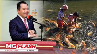 Sabah Arah Musnah Koi Punca Utama Kematian Kelah #MGFlash