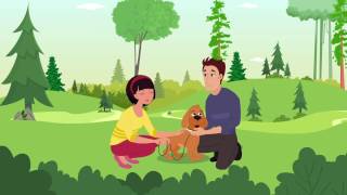 How Does Pet Insurance Work?