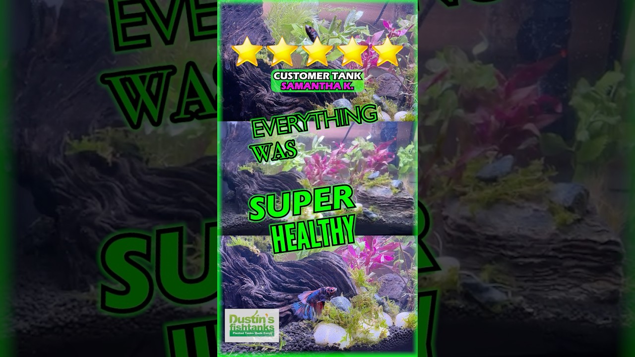 Take it from our Customers...WE KNOW AQUARIUM PLANTS!