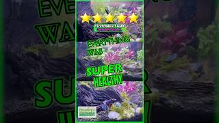 Take it from our Customers...WE KNOW AQUARIUM PLANTS!