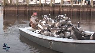 Basics of Waterfowling: Boating Safety