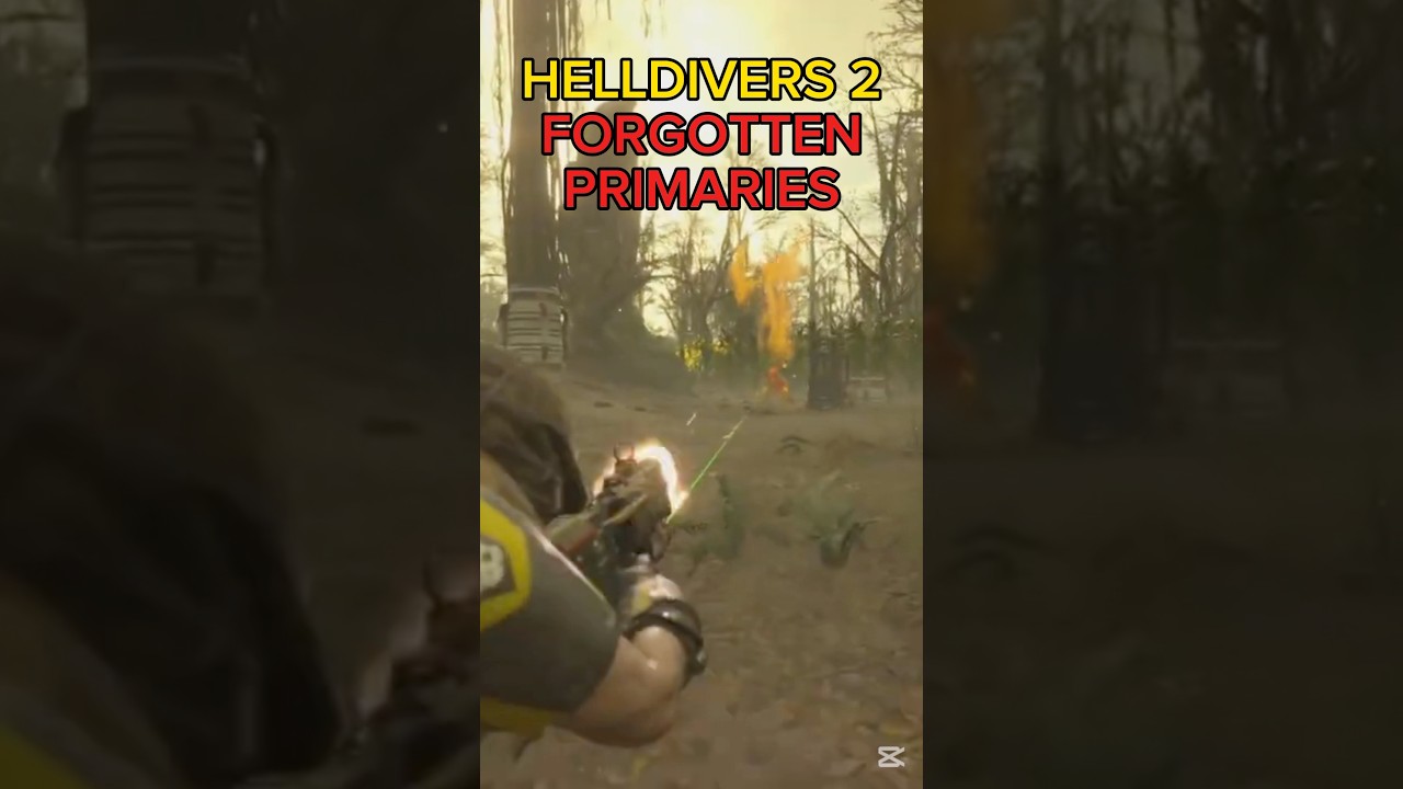 What Changes Would You Make To The Liberator Carbine? - Helldivers 2