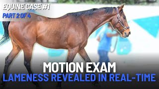 Equine Case #1 | Part 2 of 4: Flexion Tests Reveal Hind & Forelimb Lameness