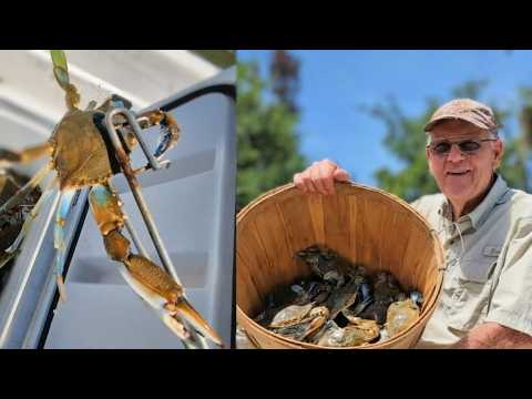 Catching Blue Crabs in Florida (Catch and Cook)