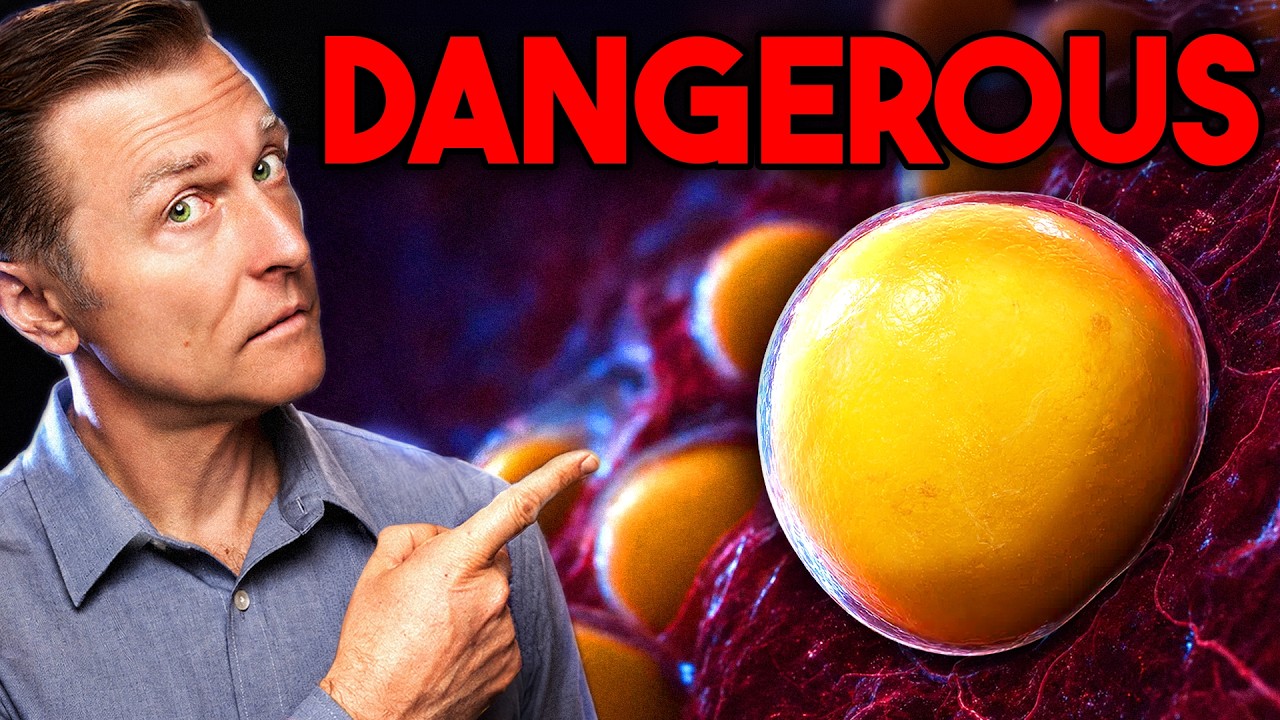 The Hidden Study on Seed Oils and Why Your Body Fat Has Changed Since 1960