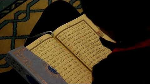 قراءة رائعة بصوت القارئ الشيخ جاسم المال سورة فاطر