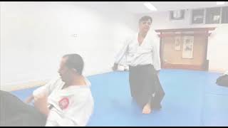 Ayhan Kaya ile Aikido Semineri