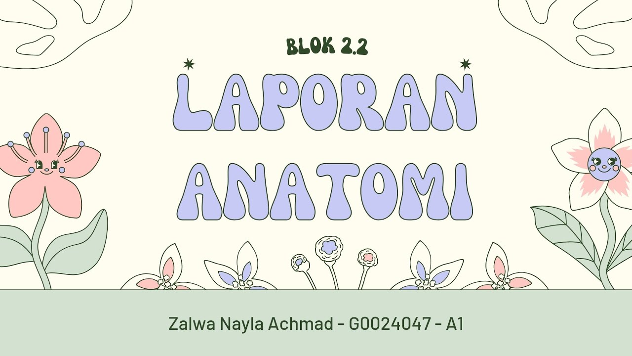 ANATOMI TRAKTUS RESPIRATORI SUPERIUS