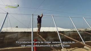 PROMO PRODUCTORA PUERTA DE GOLPE LUVIANOS, MÉX.