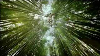 ABG - Let's Reach for the Sun