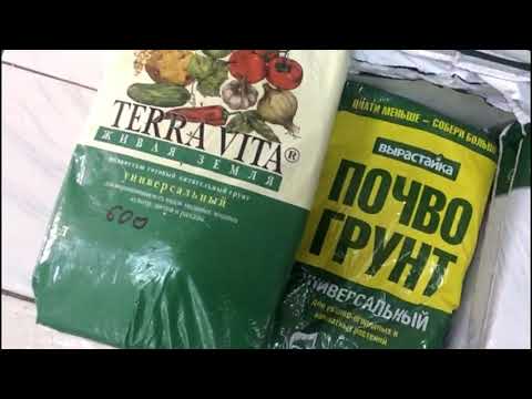 Покупаем грунт для рассады!! Как не ошибиться с выбором??