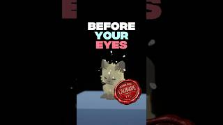 Si PARPADEAS encontrarás la VERDAD #indiegames #gaming #steam