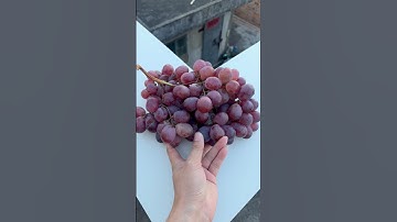 Experiment: Will grapes and watermelons explode if they roll down a tall building? 🍉💥#shorts