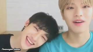 SKZ Chanmin(Seungmin x Chan) moments