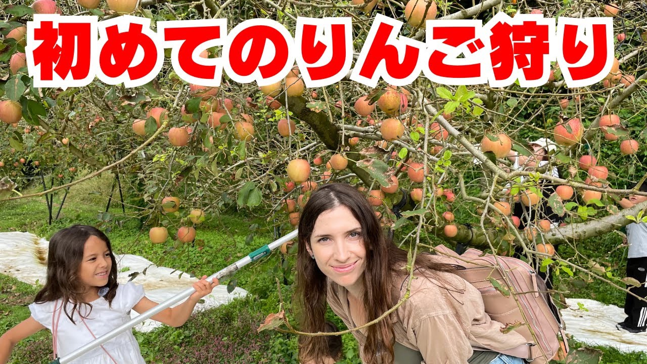 リンゴ 楽天市場】【全額返金】 減農薬 晩生品種 訳あり りんご 2.8kg ぐんま