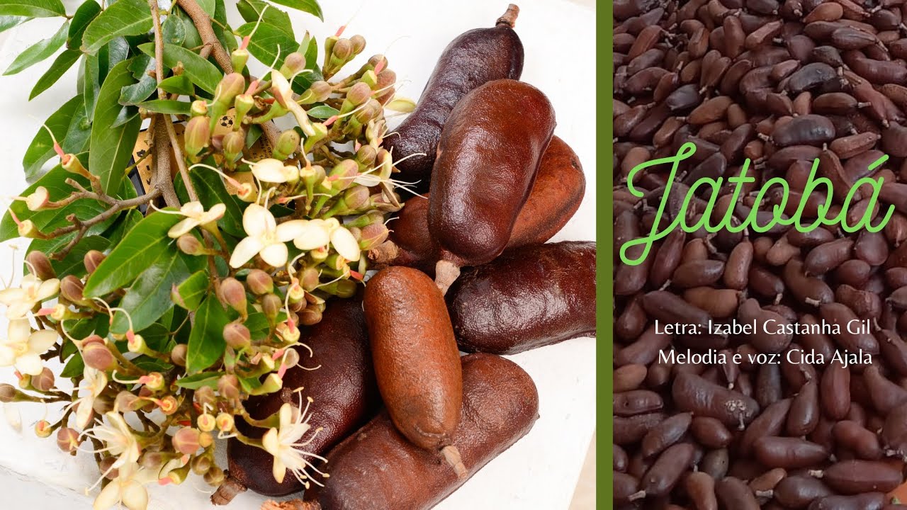JATOBÁ - YouTube