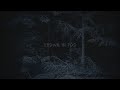 ethel cain - willoughby's interlude (slowed + reverb into a hazy mess)