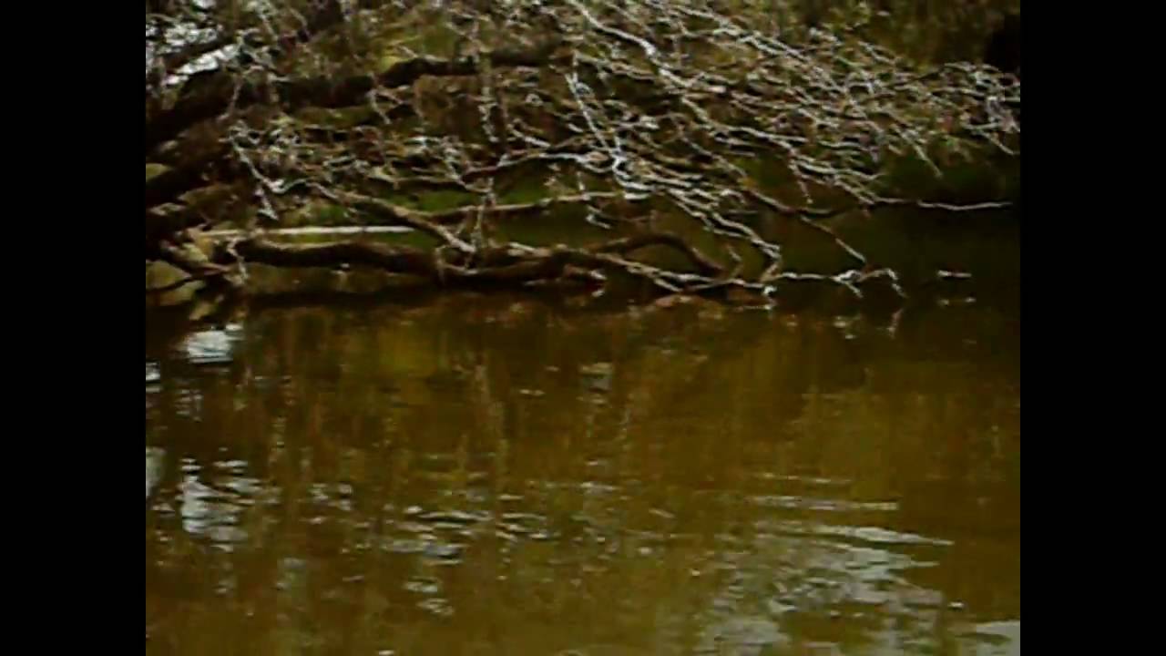 Upper Iowa River Bluffton YouTube