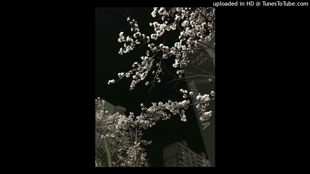 noraa santytg samaad type beat 