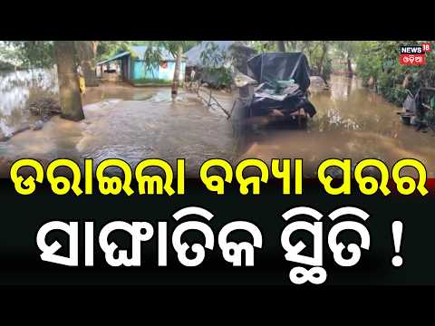 Mahanadi Flood Hits Jagatsinghpur Again | 200+ Families Affected, Villages Waterlogged | Odisha News