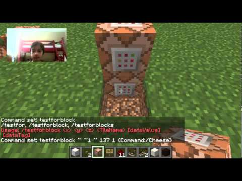 Custom Command tutorial (Testforblock)