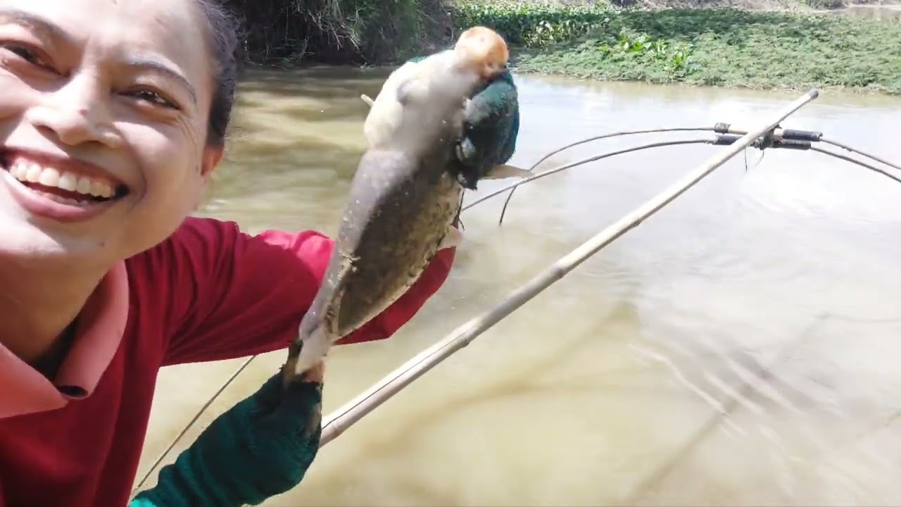 @ยกยอ#ปลาในหลวงมาแล้ววันหมานปลาใหญ่มาแล้วจ้าว#By..จ้าวป้าEp.182