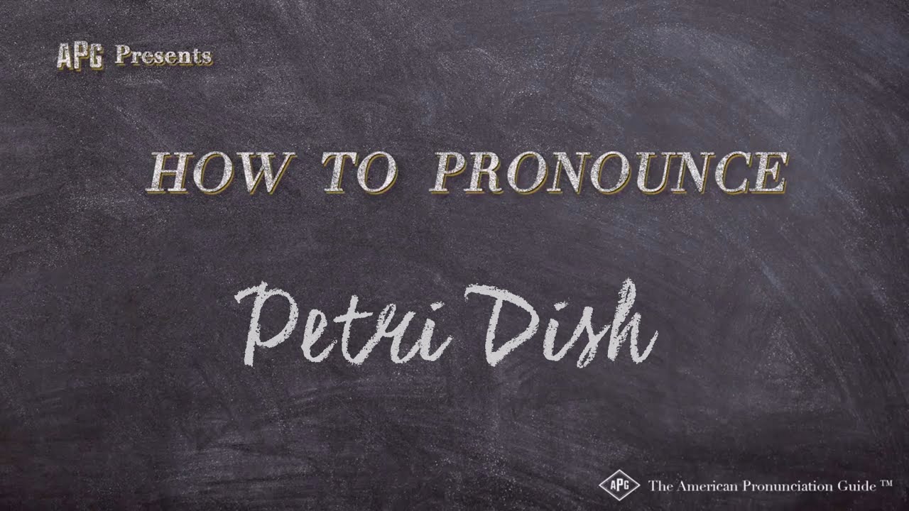 How to Pronounce Petri Dish (Real Life Examples!) YouTube