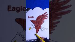 animal coloring pages/ eagle coloring drawing/#ytshourt #drawing #art #colouring /