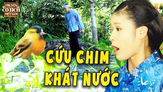 Chàng trai tốt bụng CỨU CHIM KHÁT NƯỚC | CỔ TÍCH MỚI 2024 | SỰ TÍCH VIỆT NAM  TRUYỆN CỔ TÍCH HAY