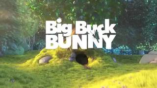 big buck bunny test video SD