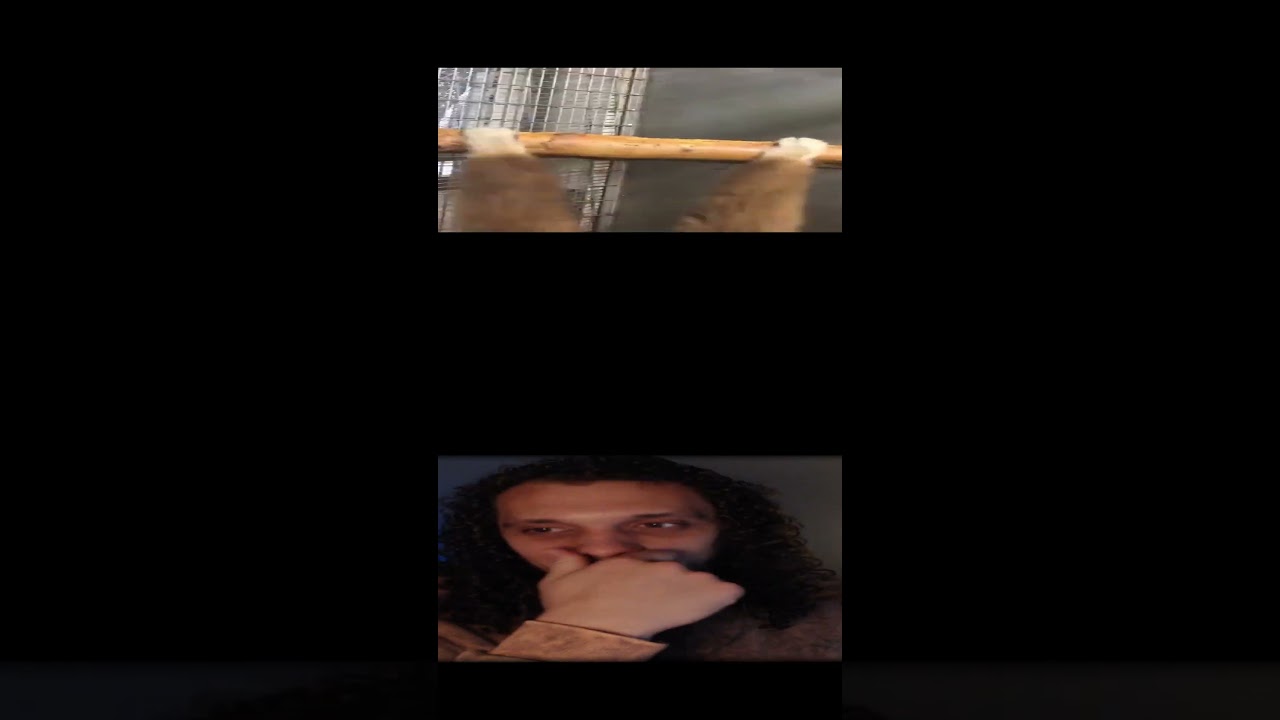 song: "Crystal Skies (Sped Up)"  