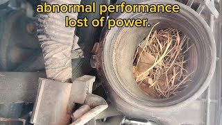 2002-2005 Honda Civic VTEC system failure engine code p1259